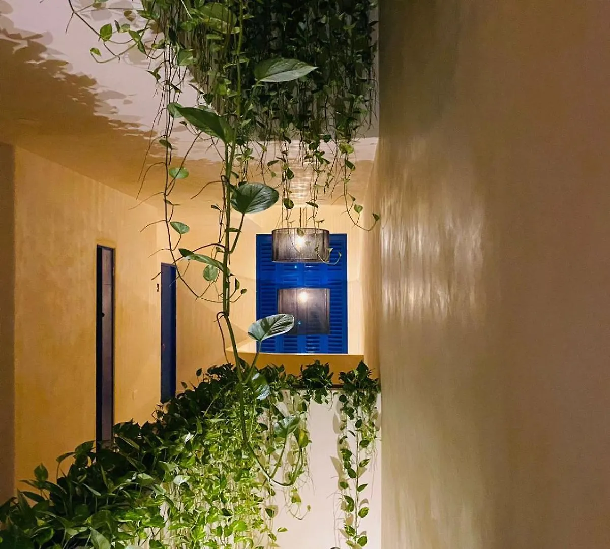Holbox Apartment