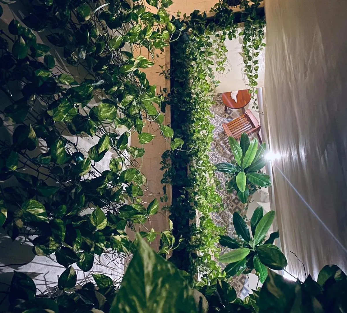 Holbox Apartment