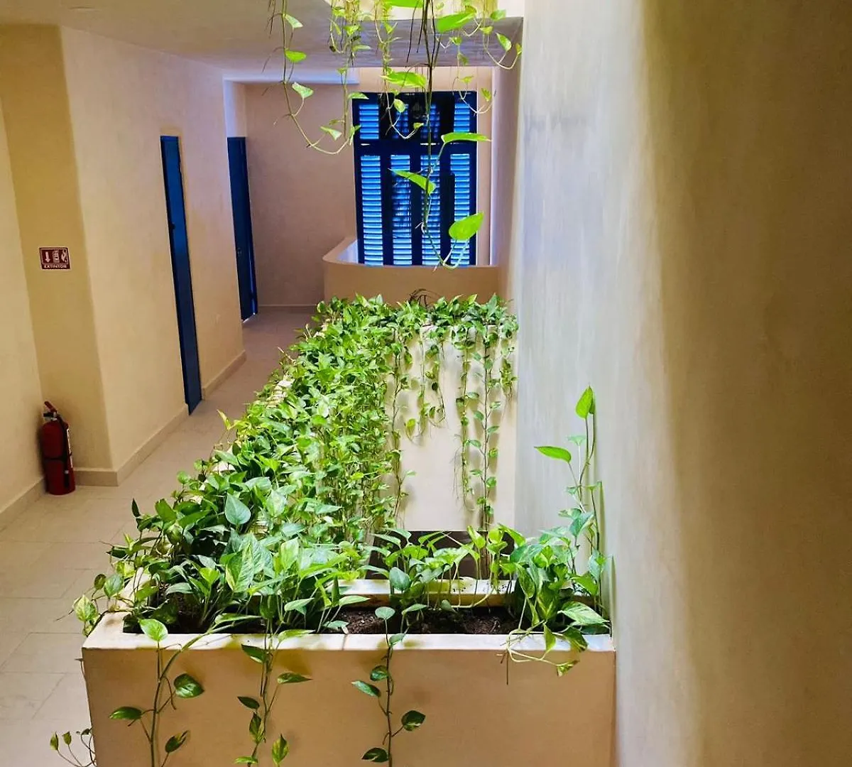 Holbox Apartment