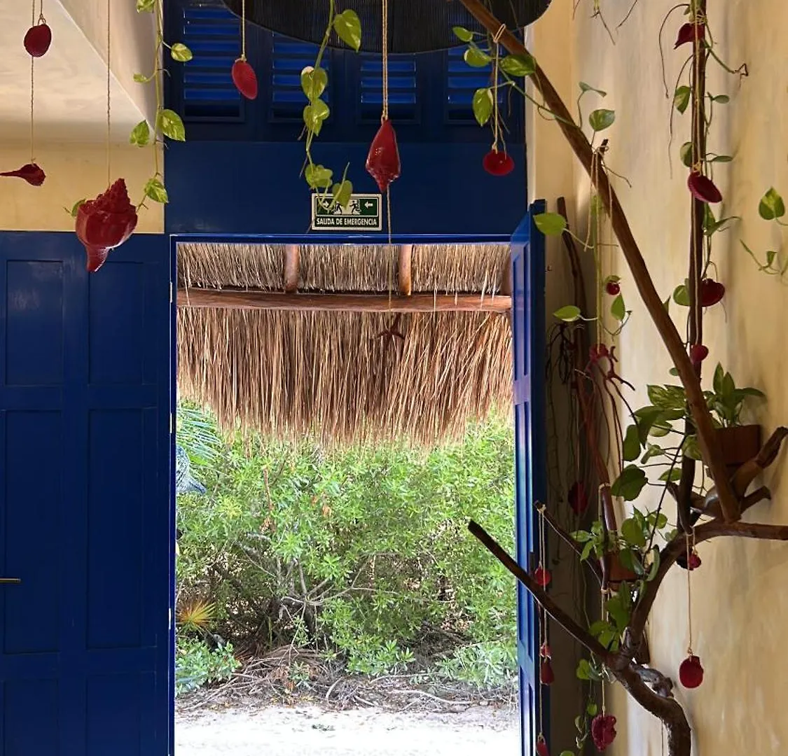 Holbox Apartment