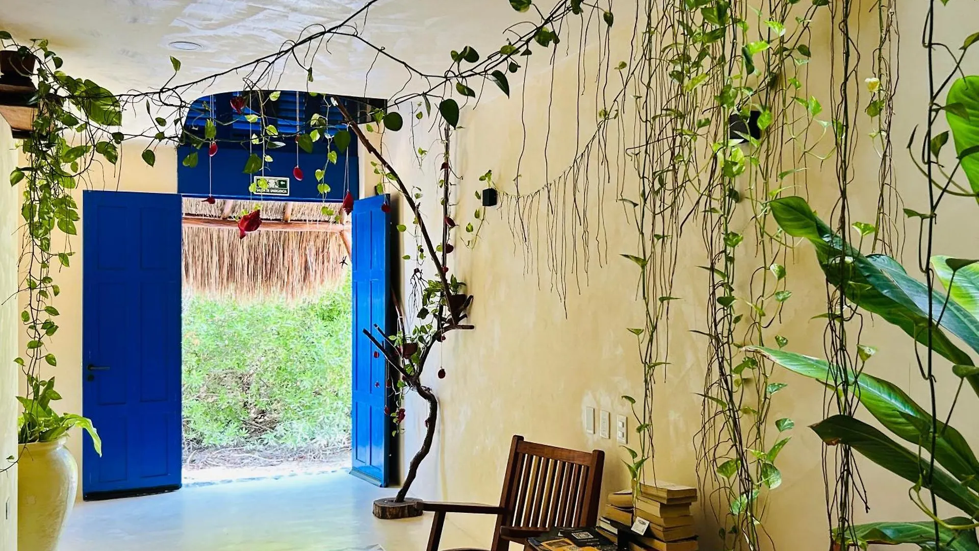 Holbox Apartment