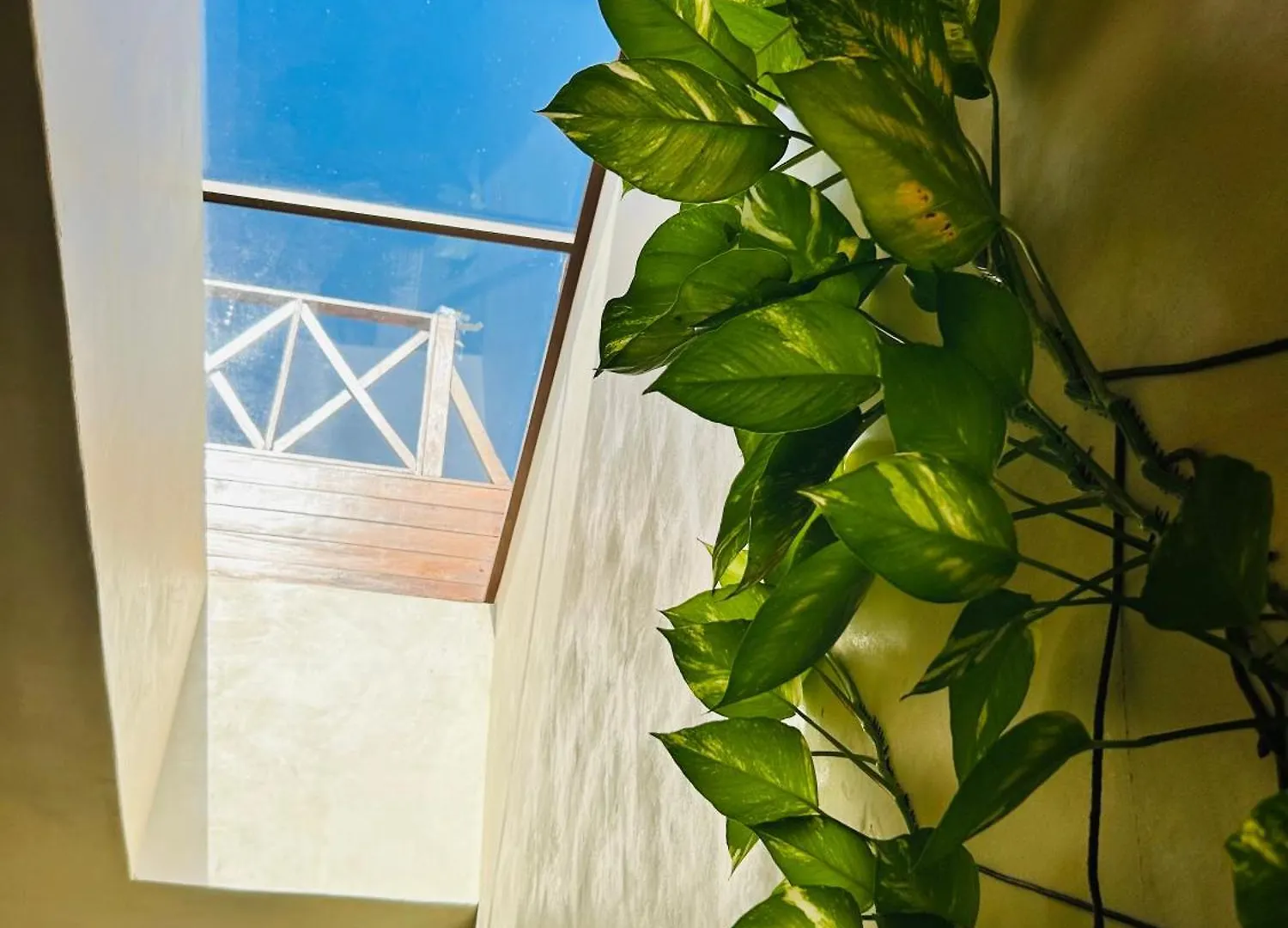 Holbox Apartment